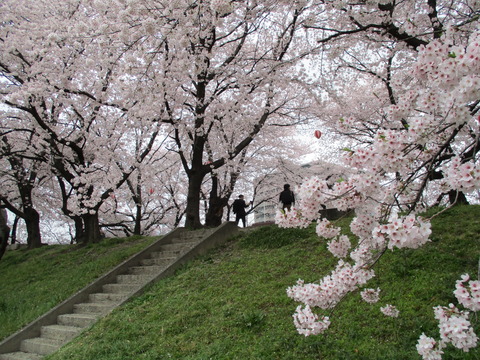 129万平公園11