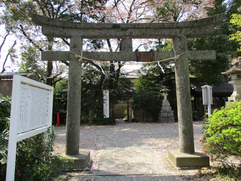 38須賀神社7