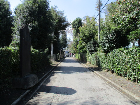164車道の参道