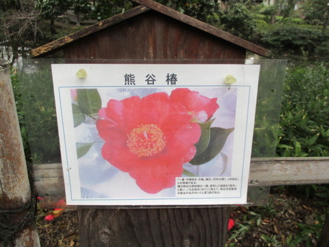 76星溪園8