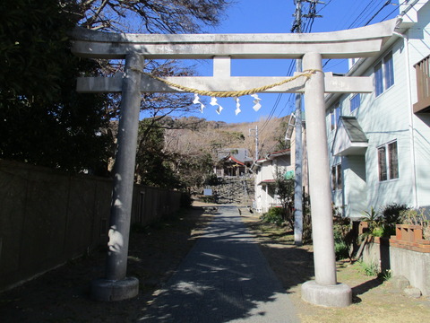 260鳥居