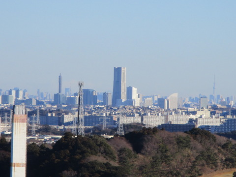 31勝上献10