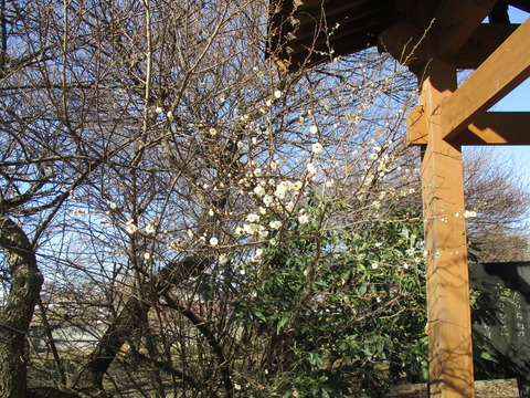 64定林寺13
