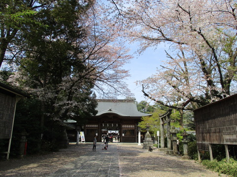 35須賀神社4