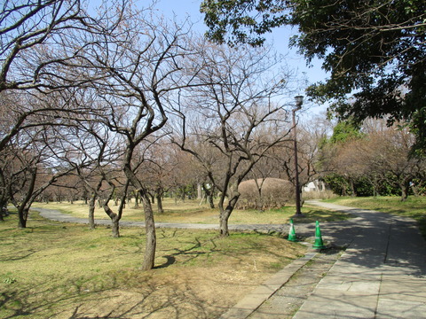 94梅園