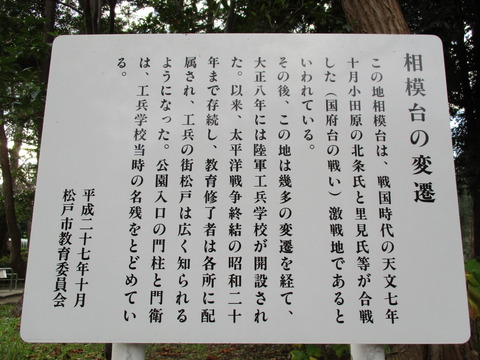 209松戸中央公園6