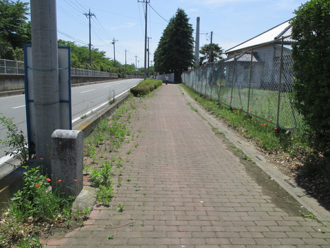 108大寄村道路元標1