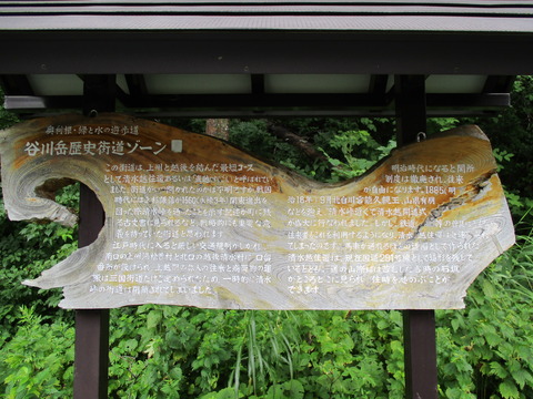 60入口6