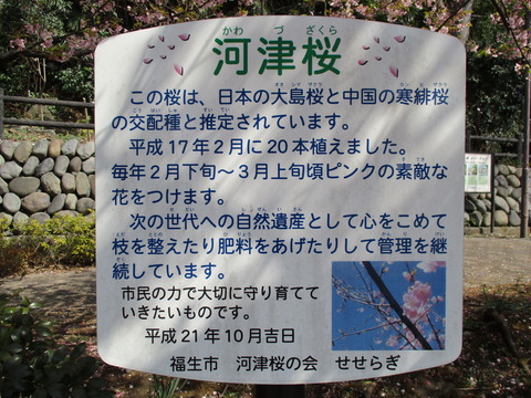 129せせらぎ遊歩道公園2