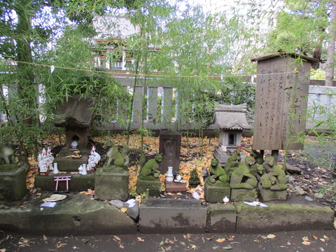 214熊野神社15
