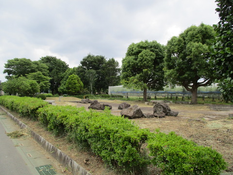 183鎮守の森公園2