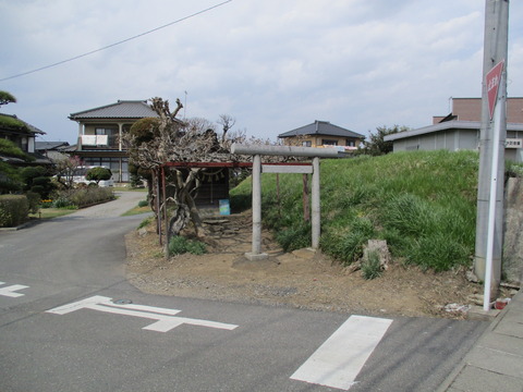 151土手3