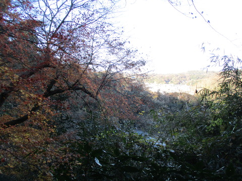 58紅葉の先の景色