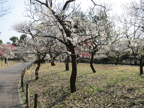 124府中市郷土の森博物館4