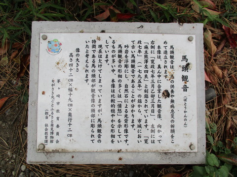 58参道松並木5