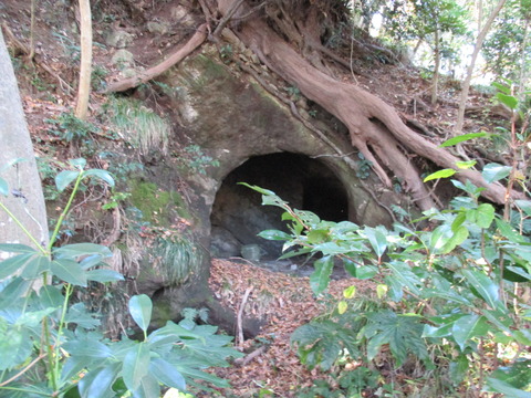 85横穴古墳群3