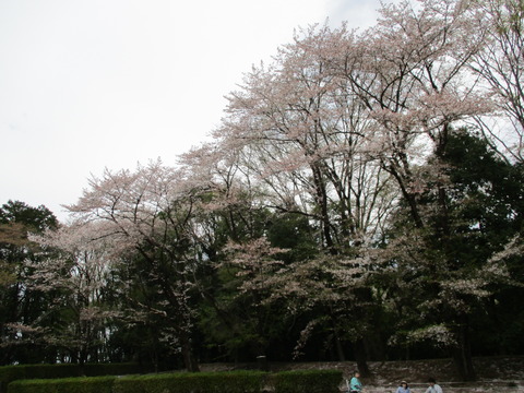 200-2塚田曲輪跡1-2
