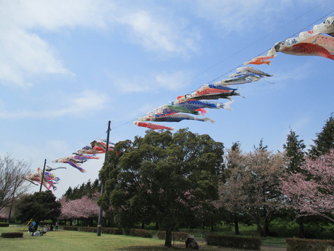 113小山総合公園8