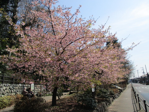 128せせらぎ遊歩道公園1