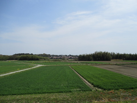 142石ノ上地域4