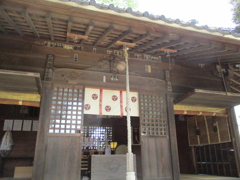 50橘神社7