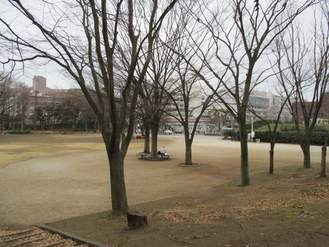 14中央公園5