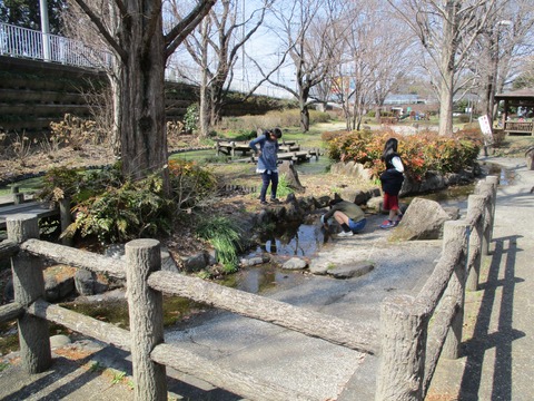 94中福生公園4