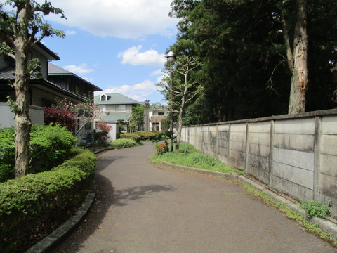 186遊歩道2