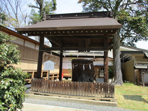 55須賀神社24