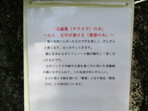 126徳星寺10
