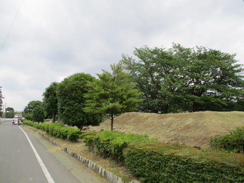182鎮守の森公園1