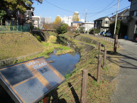 120坂川遊歩道4