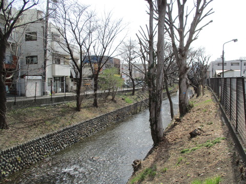 06日光橋4