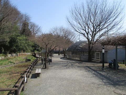 118ほたる公園2