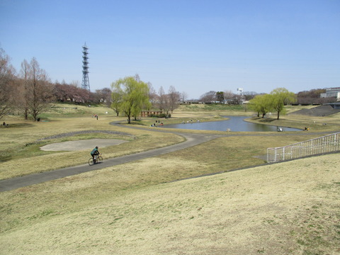 85ひょうたん池1
