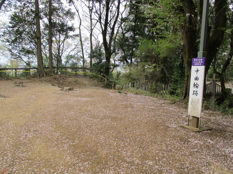 199中曲輪跡2