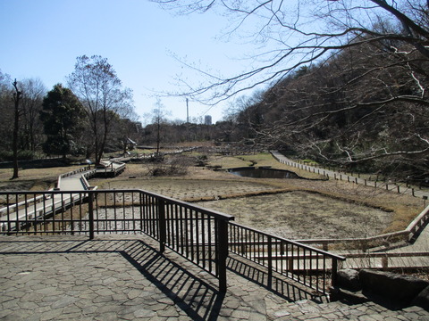 108水生植物園3