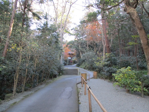 136広い参道2