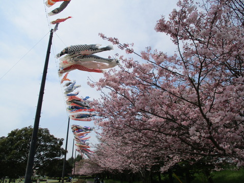 110小山総合公園5