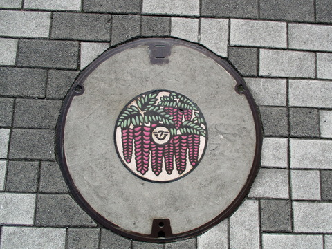 14フジ・カラー