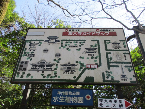 37ガイドマップ