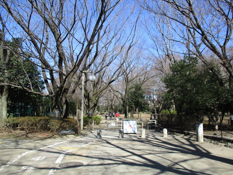 73駒場野公園4