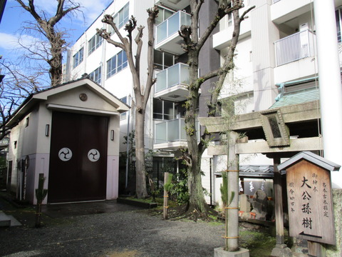 210熊野神社11