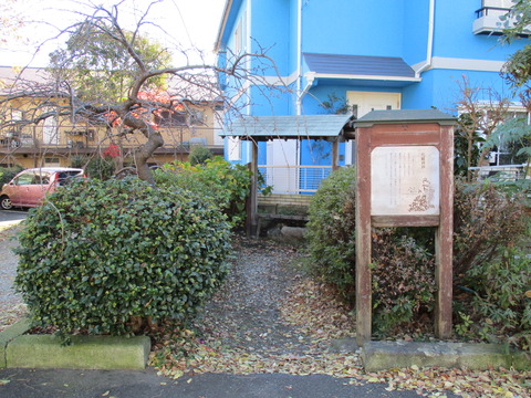 23化粧井戸1