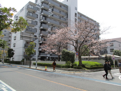 84新田仲町通り