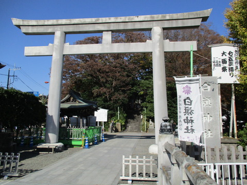 131白旗神社2