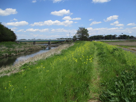 164再び御使者橋・姿亭1