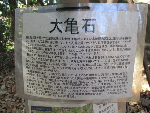111大亀石4