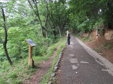 36富士山方向1