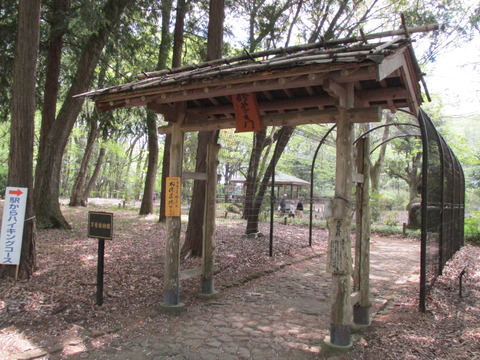 145-2万葉植物園1